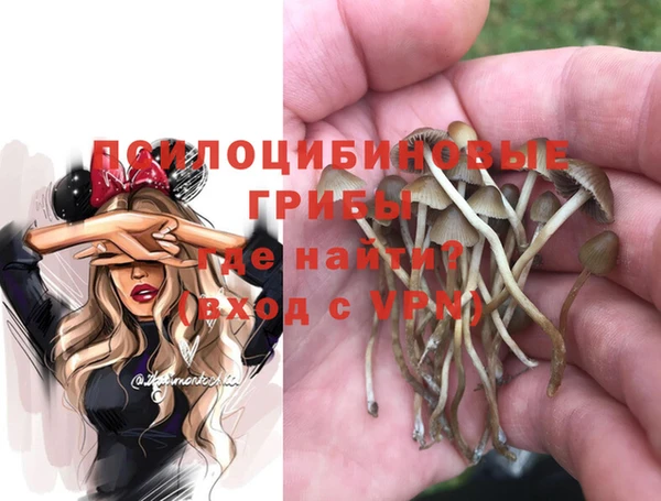 гашик Армянск