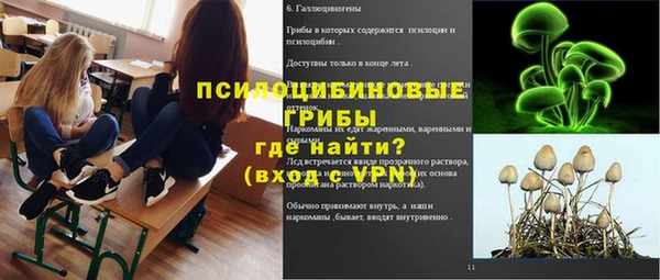 мескалин Богородицк