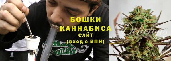 мескалин Богородицк