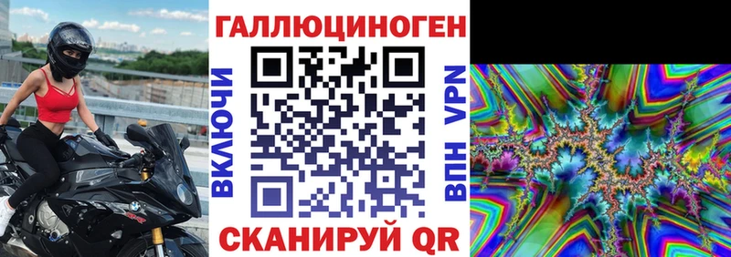 Псилоцибиновые грибы Psilocybe  сайты даркнета формула  Красный Кут 